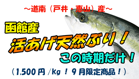 �k�C���E���ق̒n���@�������V�R�u��