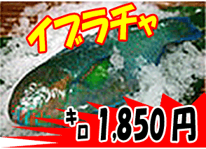 �C�u���`��