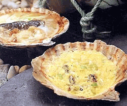 �L�Ă����X