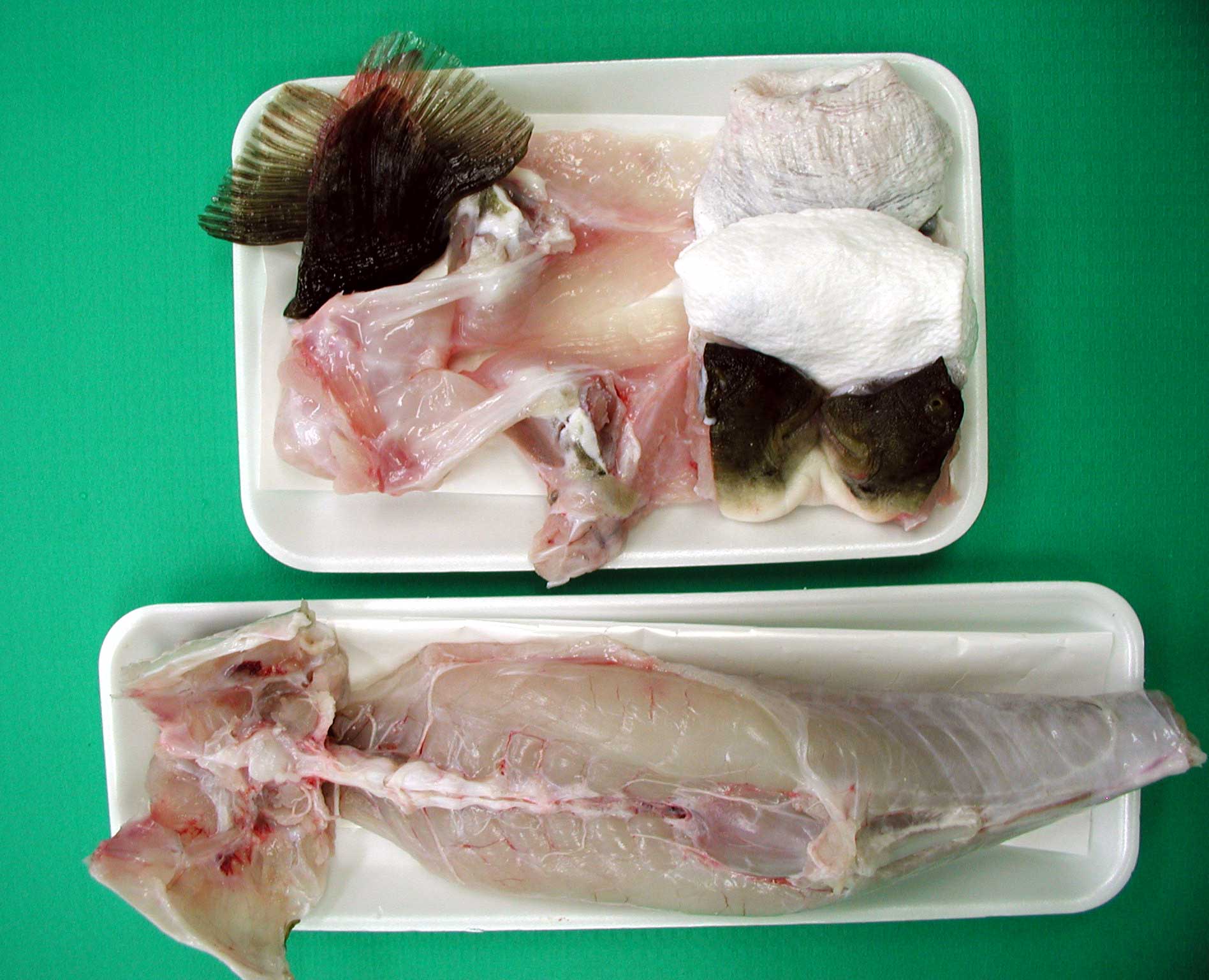 �Ƃ�ӂ��@�g����