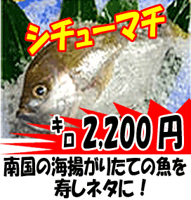 �V�`���[�}�`