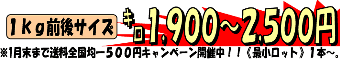 ���ڑ�1kg1,900�~�`