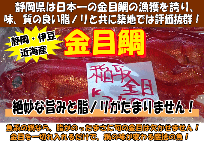 �É��A�ɓ��ߊC�Y�h�L�����_�C�h