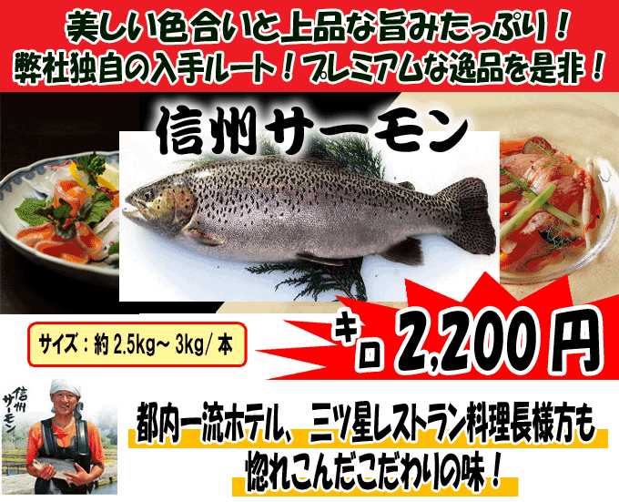 �M�B�T�[�����h