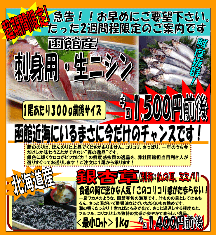 ���َY�@�h�g�p�E���j�V���h