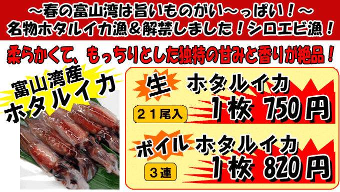 �x�R�p�Y�@�z�^���C�J