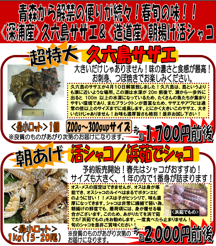 �v�Z���T�U�G�����V���R