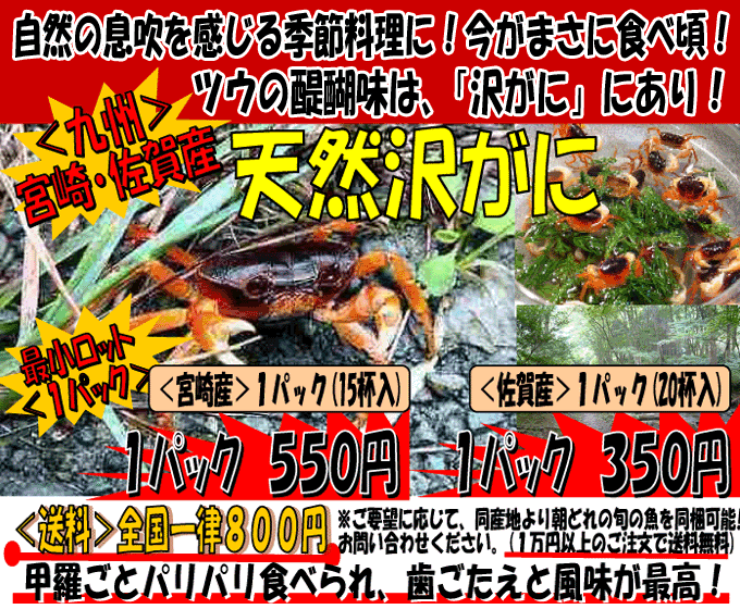 ��B�E�{��A�������I�i�T���K�j�j