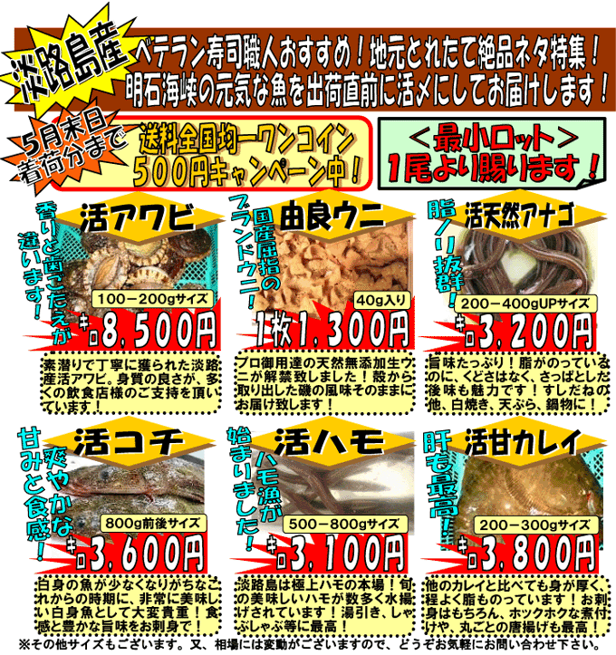 �W�H����芈�A���r�E�R�ǃE�j�E���V�R�A�i�S�E���R�`�E���n���E���ÃJ���C�Ȃǋ���L�x�ɂ��͂��I