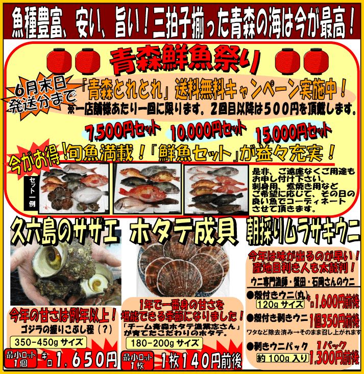 �|���A�����A����L�x�I�X�̊C�͍����ō��I�T�U�G��z�^�e�A�����T�L�E�j�Ȃǂ������܂����I