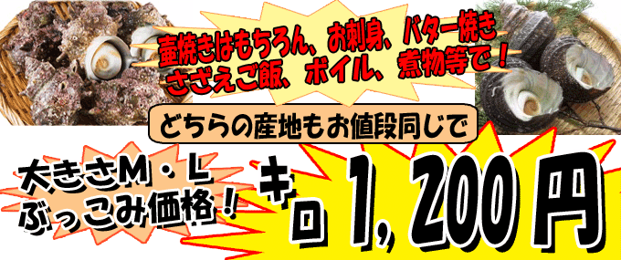 �T�U�G�Ό�