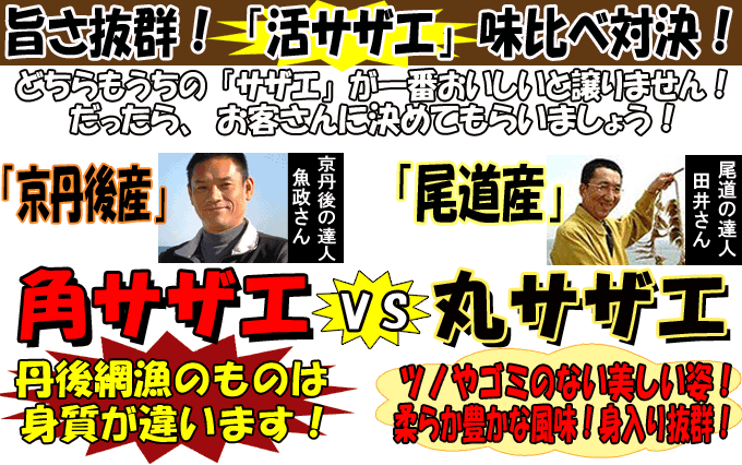 ���O��Y�p�T�U�G�u�r�����Y�ۃT�U�G