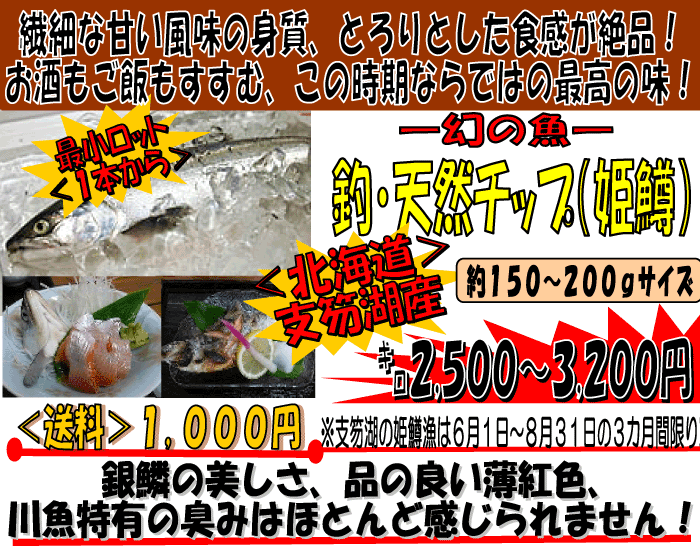 �k�C���x┌ΎY�@�ށE�V�R�`�b�v�i�P���j