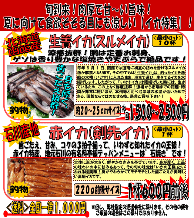 ���َY���ŃC�J�i�X�����C�J�j���ΐ�Y�ԃC�J�i����C�J�j