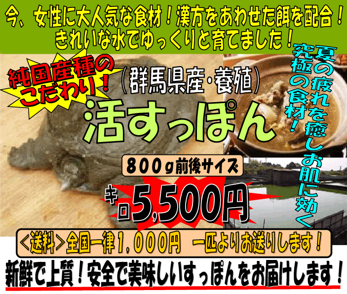 �Q�n���E�{�B�������ۂ�