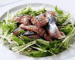 �k�C�����ݎY�@�V�T���}