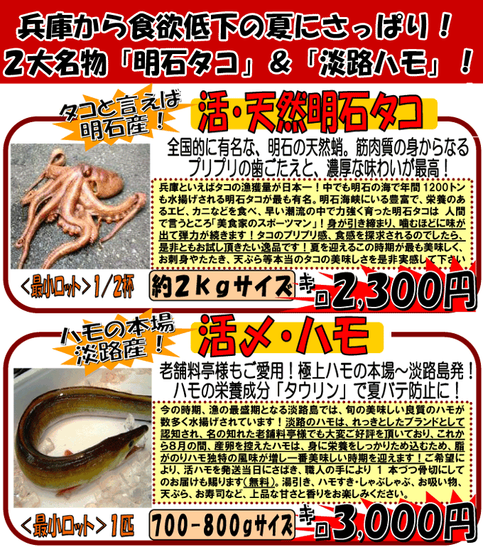 ���ɁE�Ă̂Q�㖼���I�S���I�ɂ��L���ȁu���V�R���΂����v���n���̖{��A�W�H�Y�u���Y�͂��v