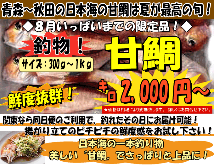 �H�c�`�X�Y�@�Ñ�