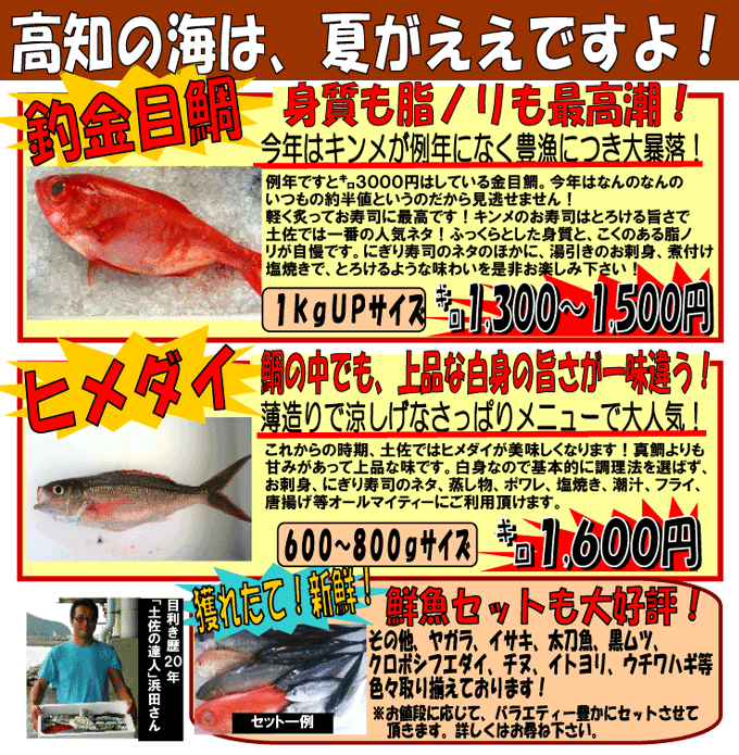 �Ă̍��m���A�h�g�������m���̍ō����̒ދ��ڑ�h�Ɓh��i�Ȕ��g���|���q���_�C�h�����͂�