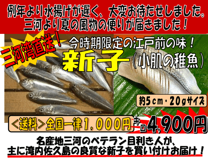 �V�q�i�R�n�_�̒t���j