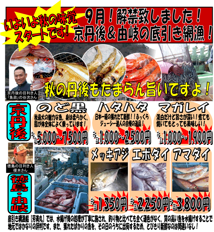 ���s�O�さ�����R��@������ԋ����ցI