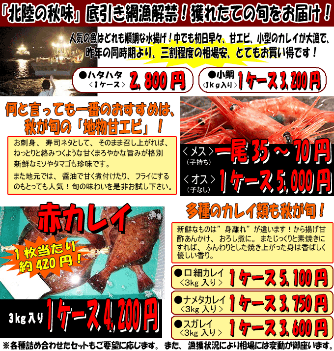 �h�R��h������ԋ����ցI�E�l�Z�����D�y�F���ہz��肨�͂�