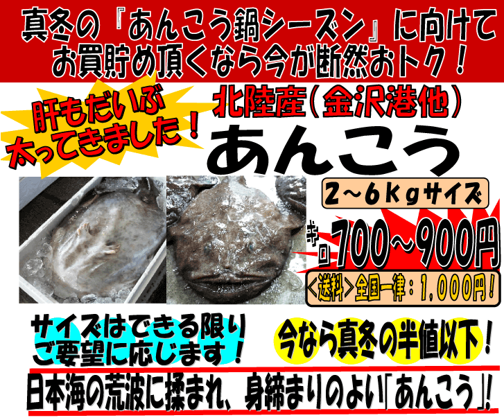 �k���Y���񂱂�