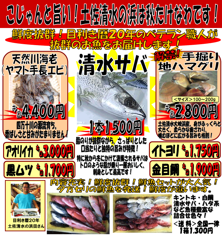 ���m���y�������Y�@�����T�o�A�n�n�}�O���A�蒷�G�r�Ȃ�