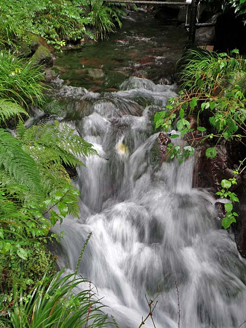 �M���q�J��