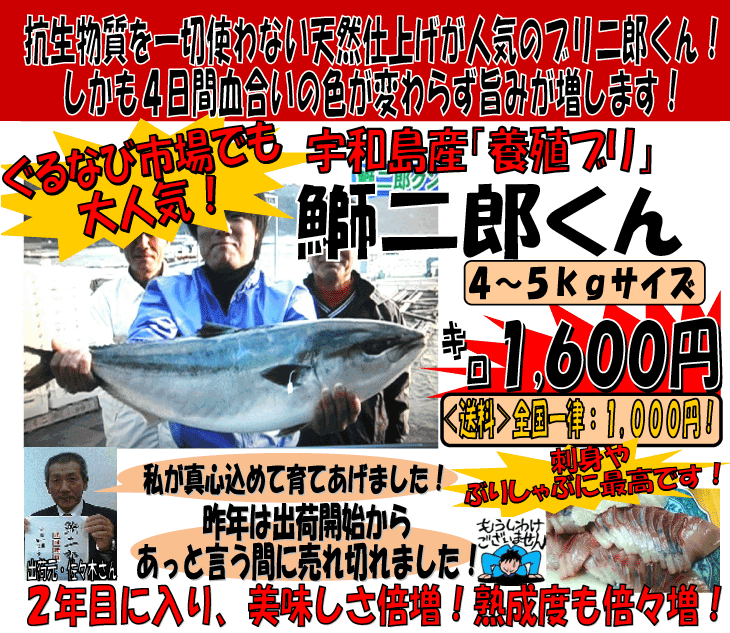 �u����Y����