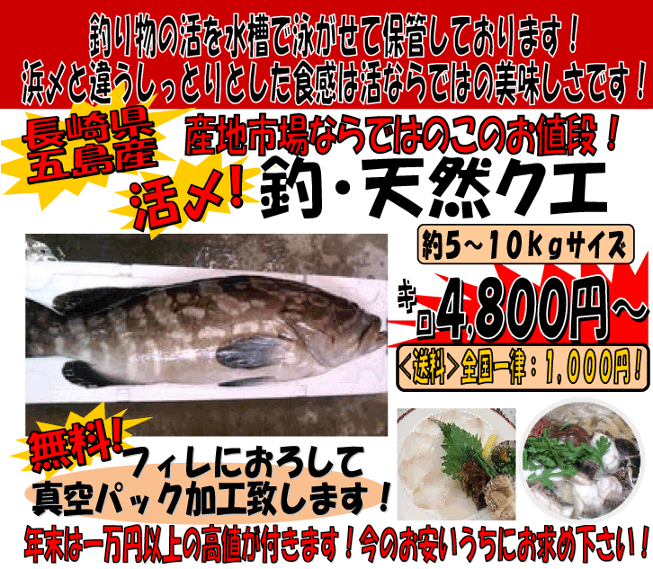 �ށE�V�R�N�G