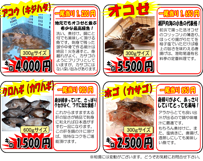 �A�R�E�E�I�R�[�E�N���n�M�E�z�S