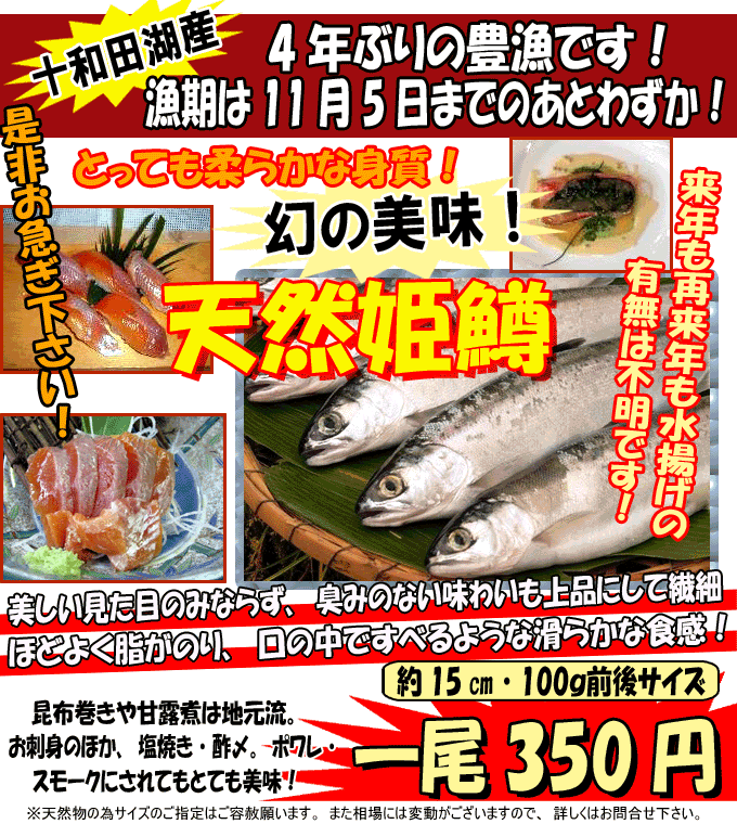 �\�a�c�΁h�V�R�P���h