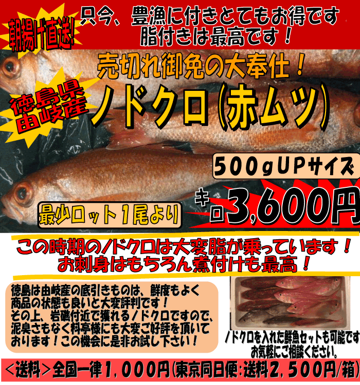 �̂ǂ���i�Ԃނj