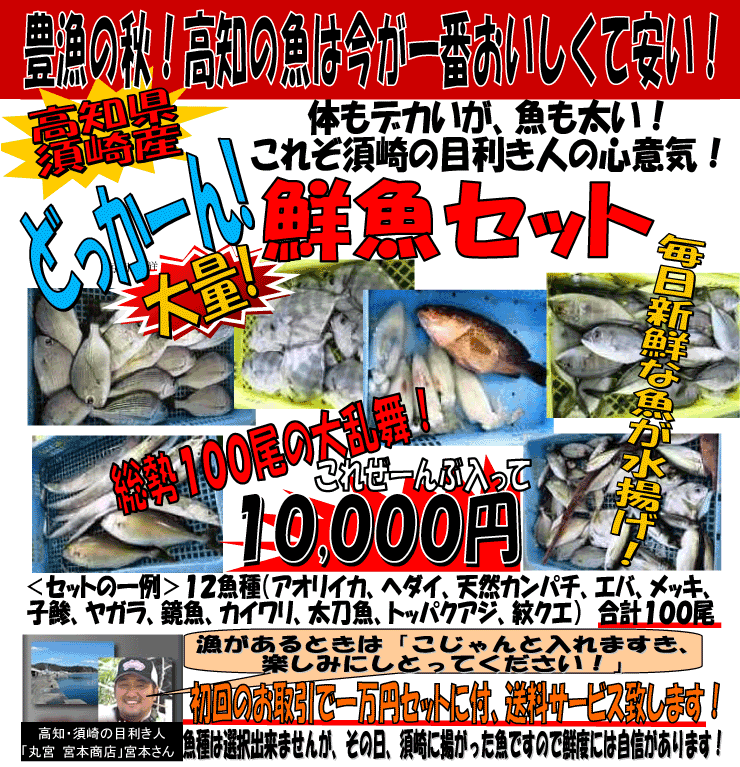 ���m���{��Y�@�N���Z�b�g�j