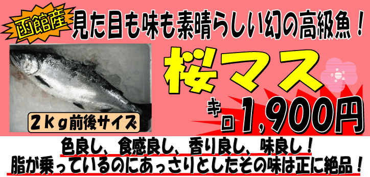 �k�C�����ف@���}�X�i�T�N���}�X�j