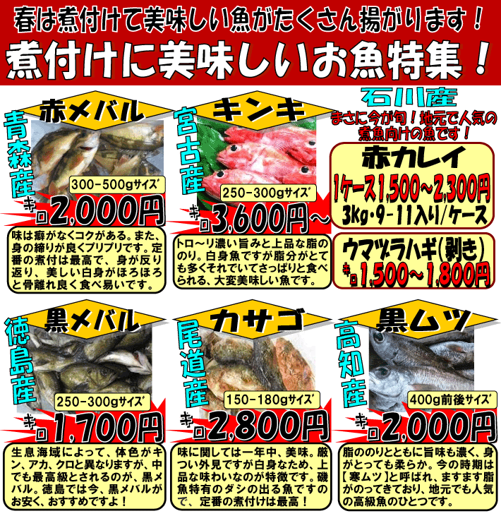 �ϕt���ɔ��������������W