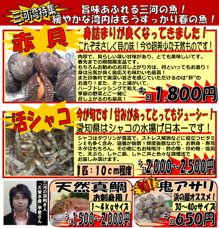 �O�͘p�@�ԊL���V���R���^�⁕�S������