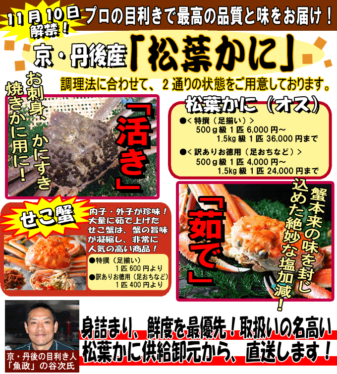 ���s�O��@���t����