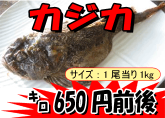 �k�C�����َY�h�J�W�J�h