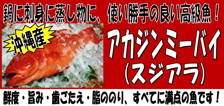 �A�J�W���~�[�o�C�i�X�W�A���j