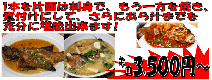 �A�J�W���~�[�o�C�i�X�W�A���j