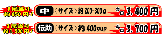 �W�H���Y���q�@�`��