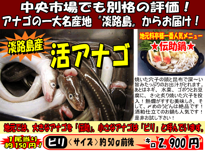 �W�H���Y�h�����q�h