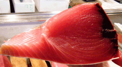 ����ޕ��E���L�n�_�}�O��