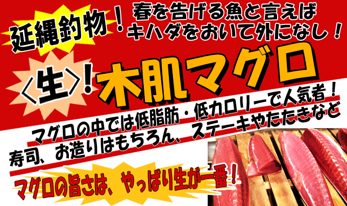 ����ޕ��E���L�n�_�}�O��