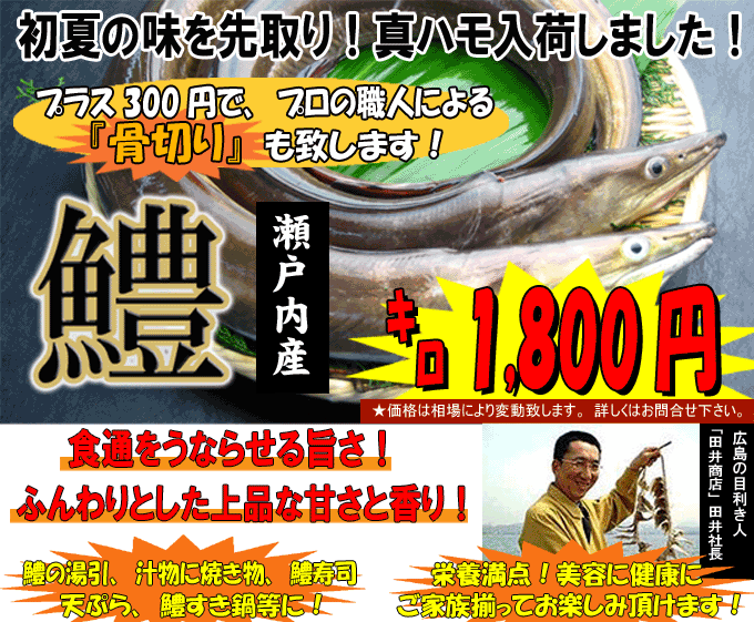 �L���@�^�n��