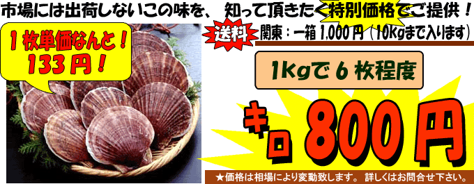 �X�������p�Y�@���z�^�e