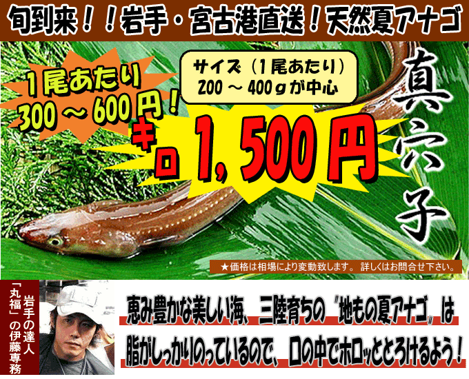 ��茧�{�Á@�V�R���Ȃ�