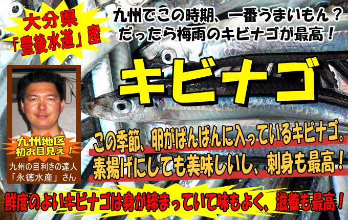 �啪���Y�L�r�i�S